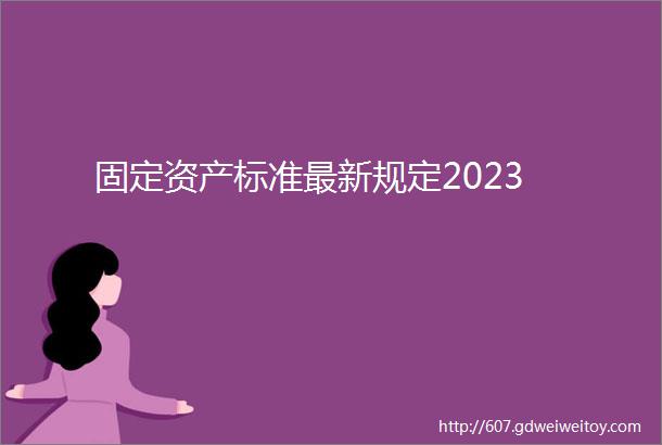 固定资产标准最新规定2023